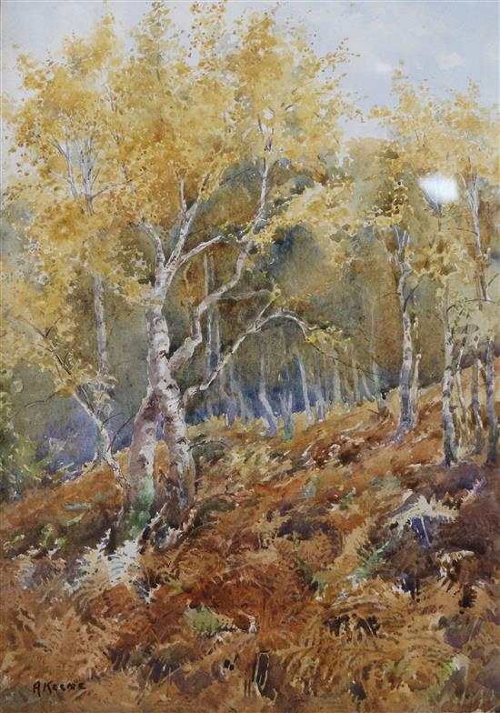 A. Keene, watercolour, Autumnal Forest, signed, 37 x 26cm.